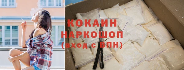 мет Новозыбков