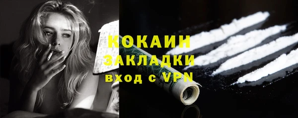 мет Новозыбков