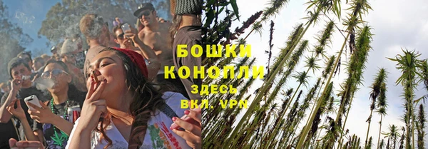 a pvp Новодвинск