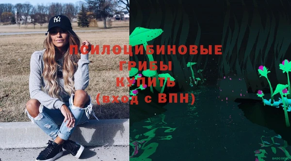 мет Новозыбков