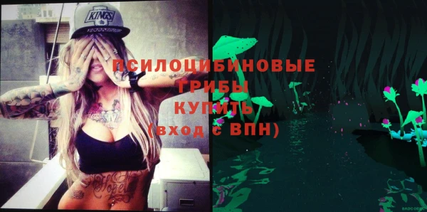 a pvp Новодвинск