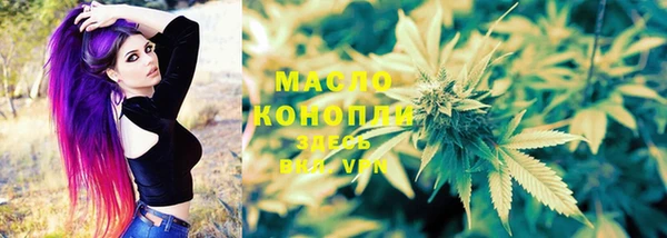 мет Новозыбков