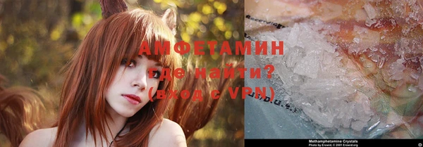 мет Новозыбков