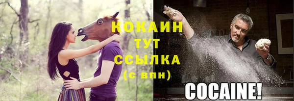 мет Новозыбков