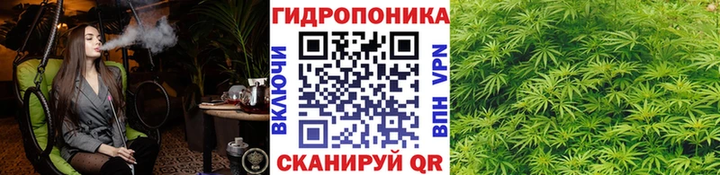 Конопля конопля Полтавская